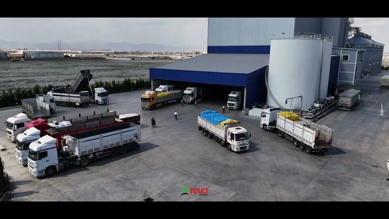 Reva Nutrition Tanıtım Filmi – proje görseli