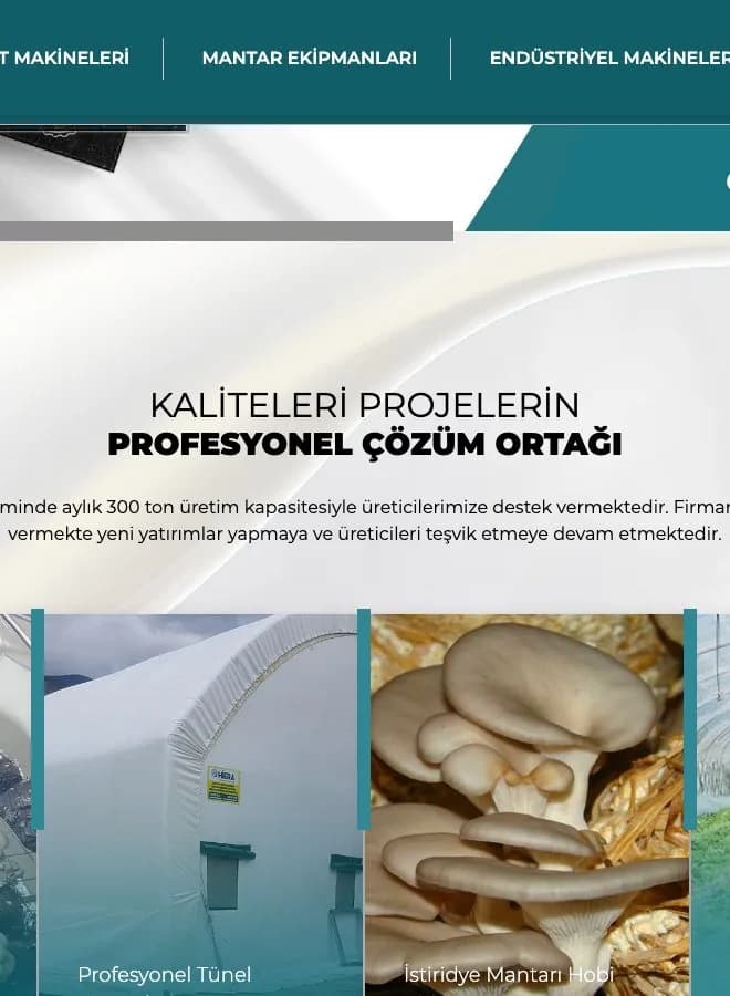 Hiera Mantar Kurumsal Web Sitesi Tasarımı – çalışmadan detay görseli