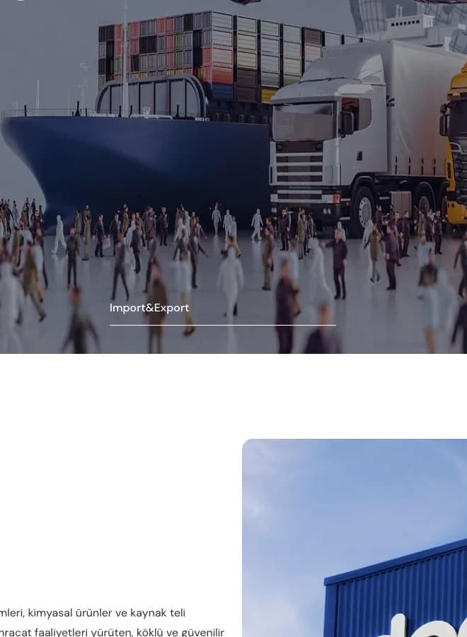 Dongpu Import Export Web Sitesi Tasarımı – çalışmadan detay görseli